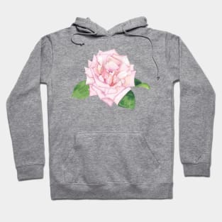 Pink Rose, floral watercolor painting Hoodie